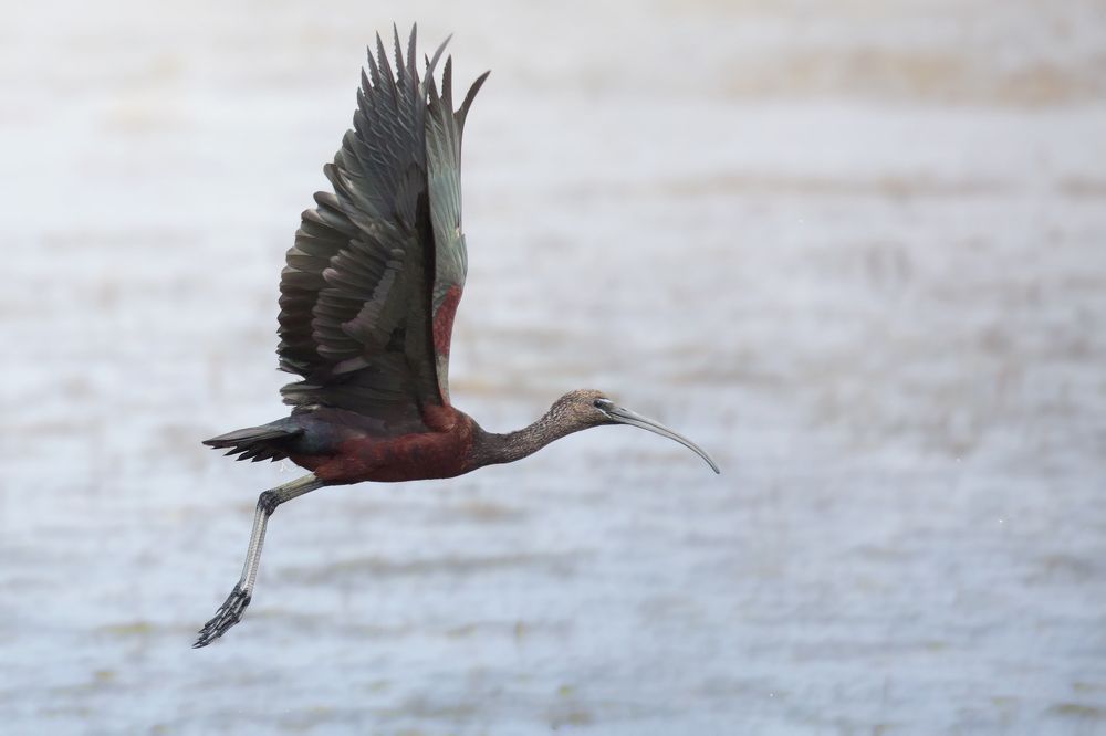 Photograph by Джамалдаев Руслан