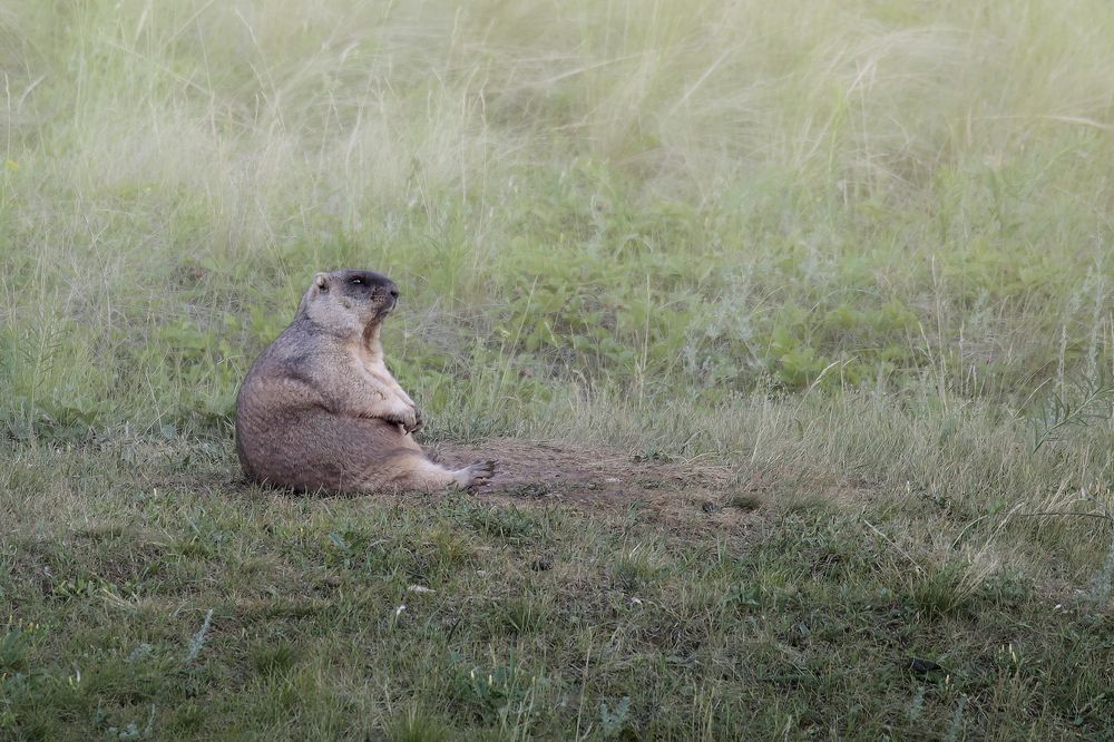 Photograph by Джамалдаев Руслан