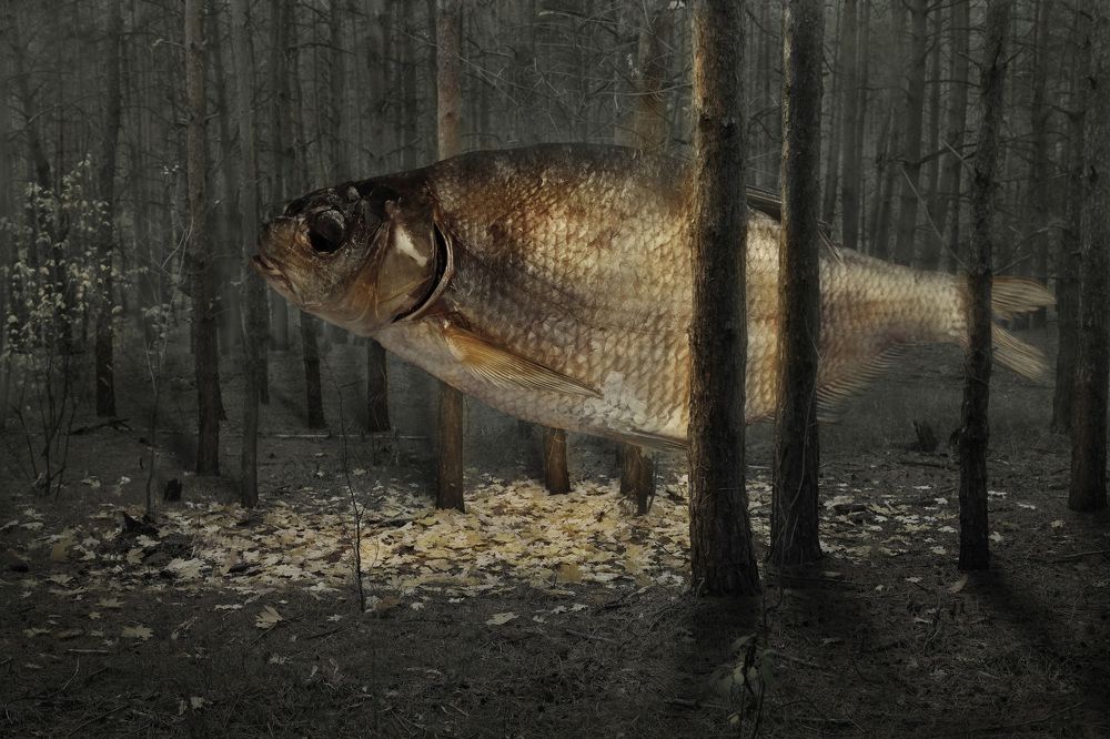 Фотография автора Виктор Кириллов