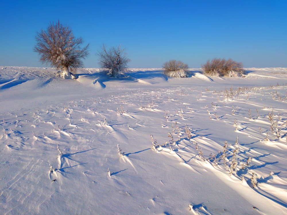 Photograph by Павел Колеснев