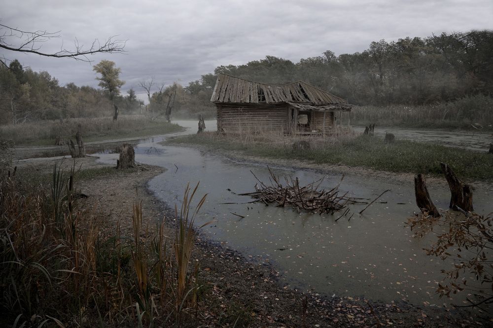 Фотография автора Виктор Кириллов