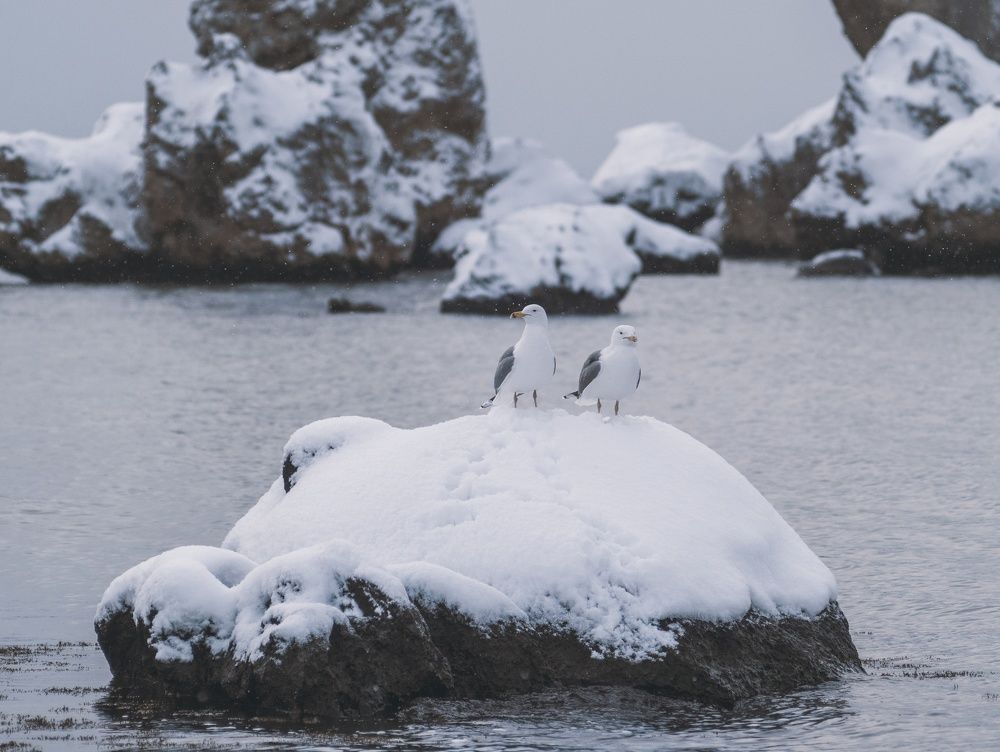 Photograph by Анатолий Щербак