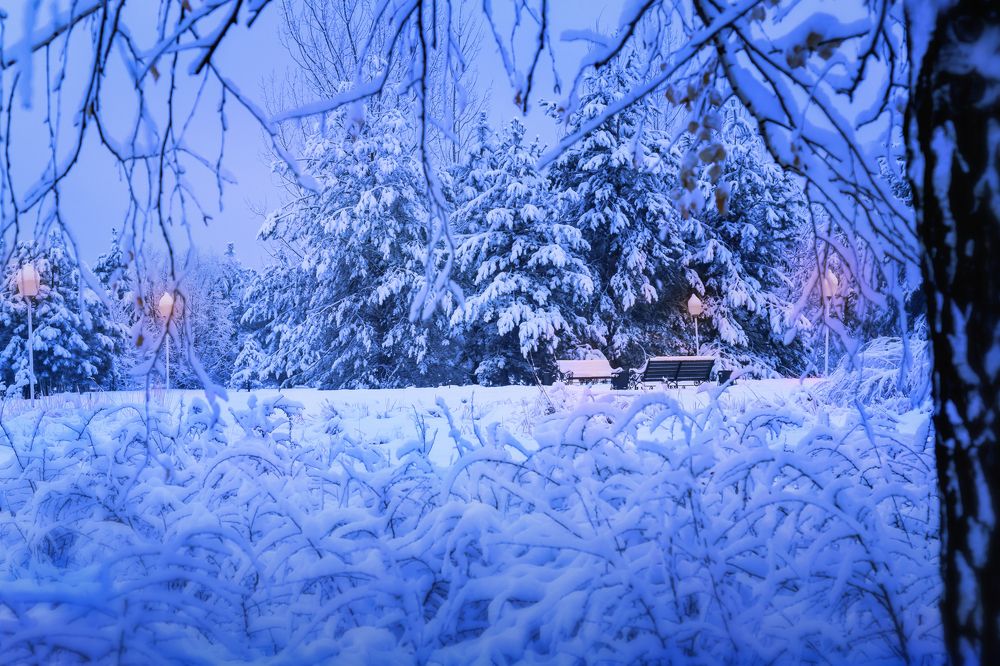 Photograph by Татьяна Колесникова