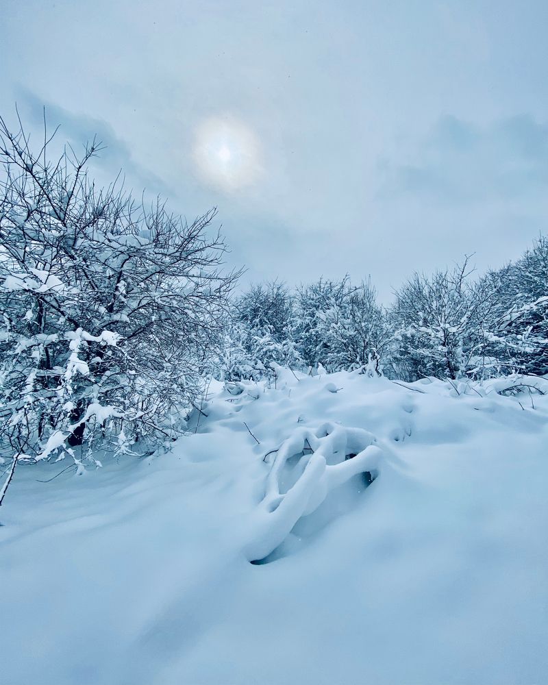 Photograph by Александр Арасланов