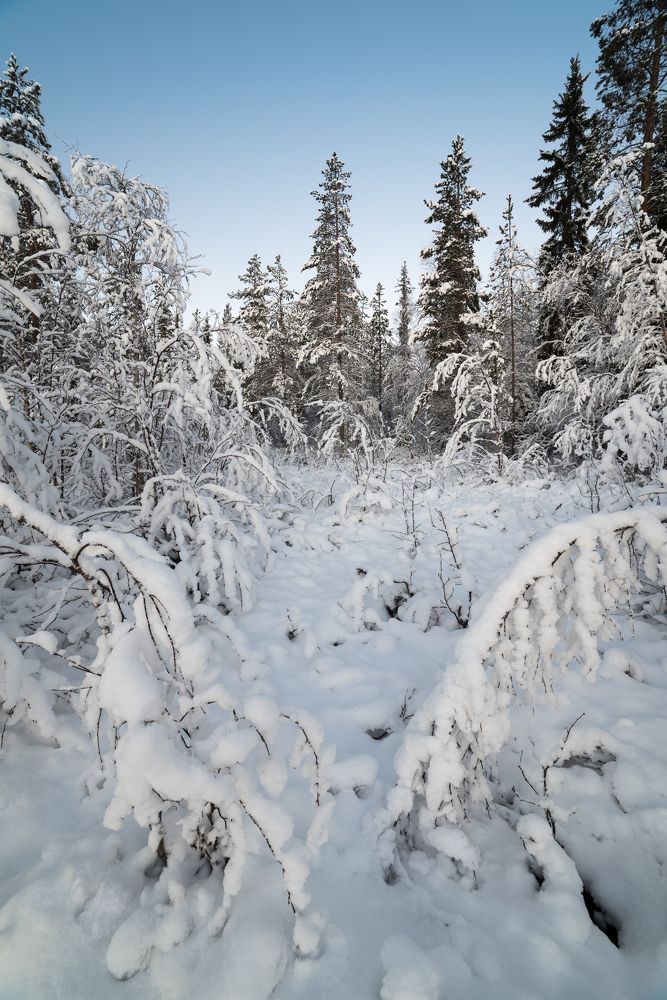 Photograph by Дмитрий Климов