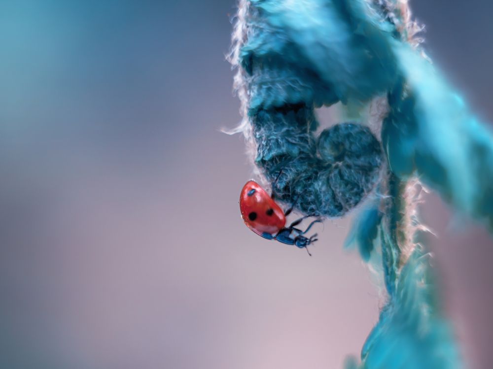 Photograph by Анастасия Третьякова