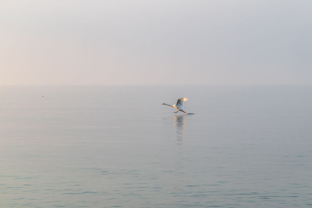 Photograph by Наталья Брюхненко