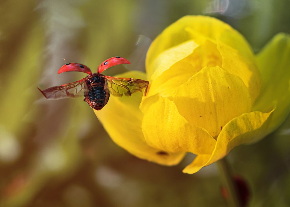 Photograph by Анастасия Третьякова