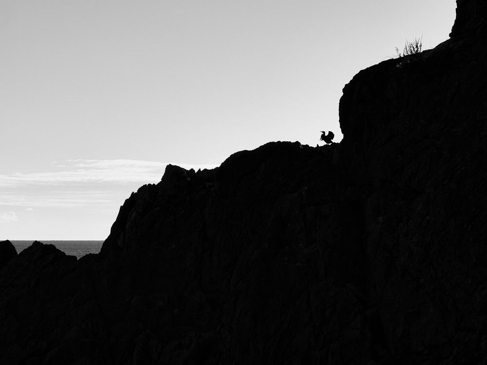 Photograph by Angela Ravaioli