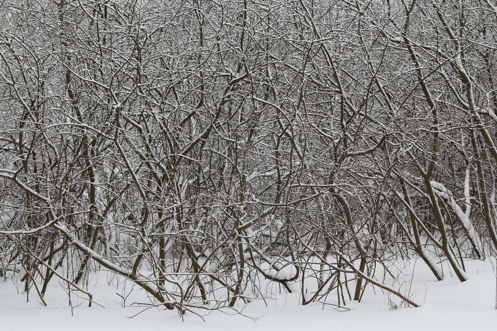 Photograph by Борис Баринов