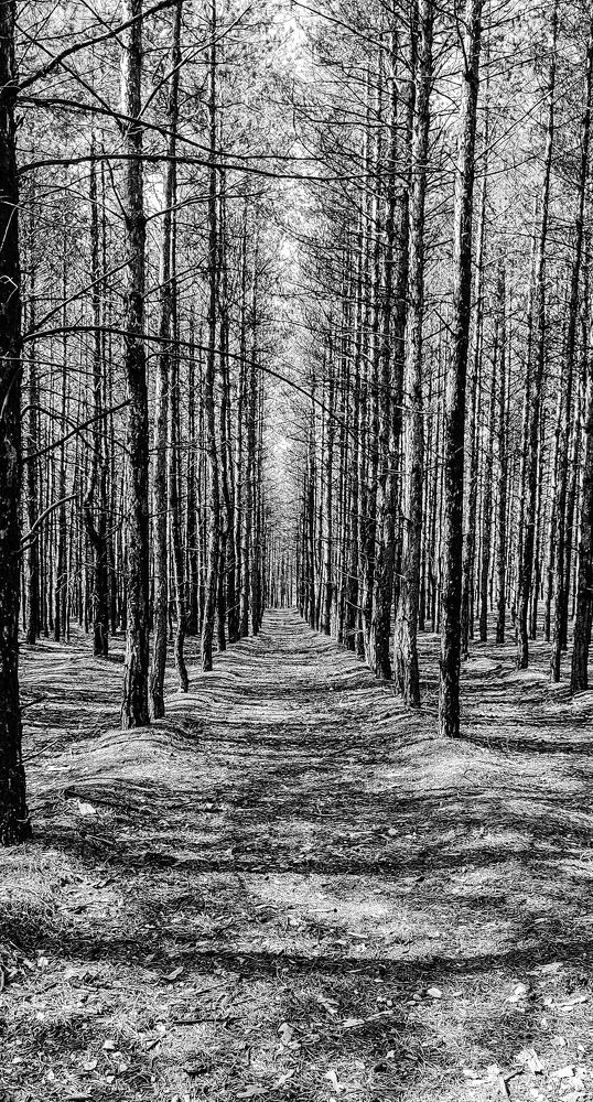 Photograph by Татьяна Ермолаева