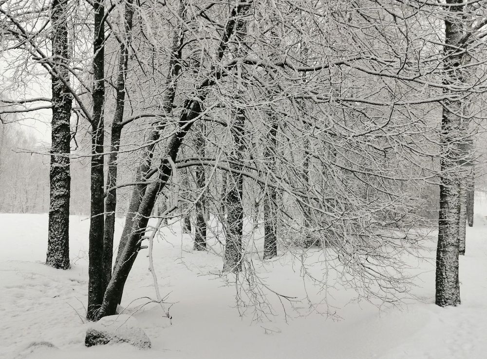 Photograph by Борис Баринов