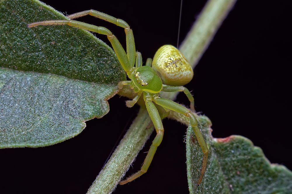 Photograph by Сергей Алтуфьев