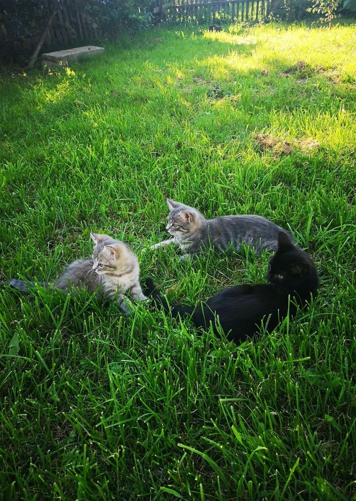 Photograph by Екатерина