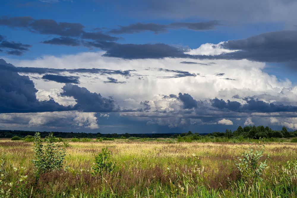 Photograph by Дмитрий Морозов