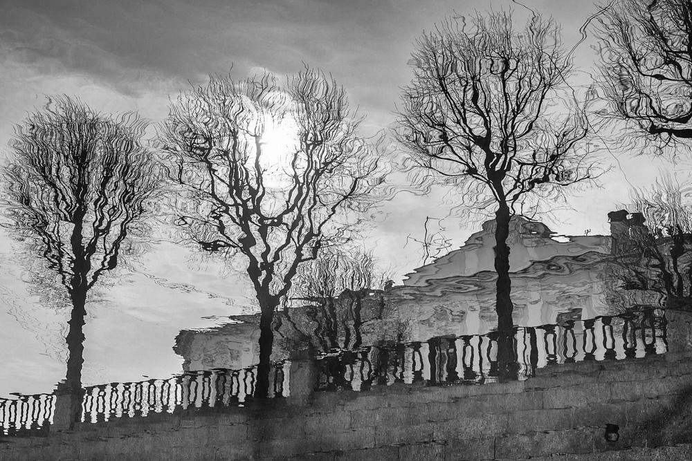 Photograph by Наталья Калягина