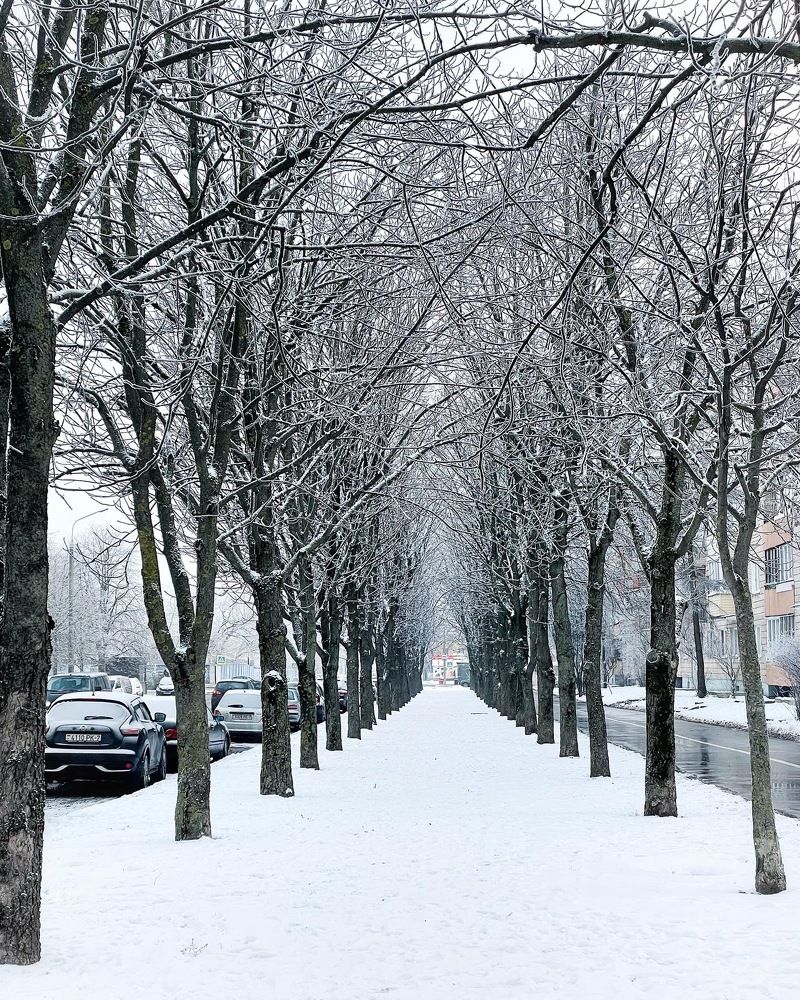 Photograph by Elena Antashkevitch