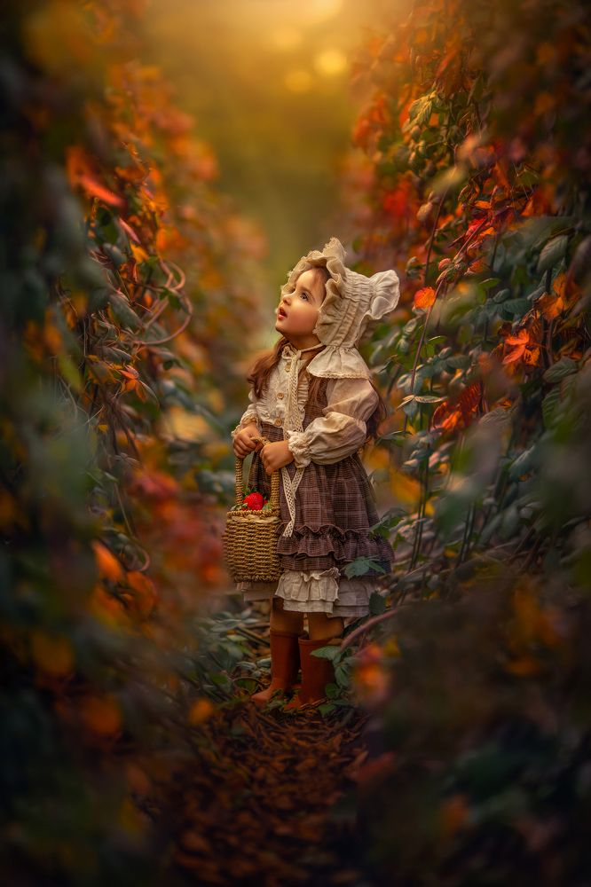 Photograph by yarden kaplan