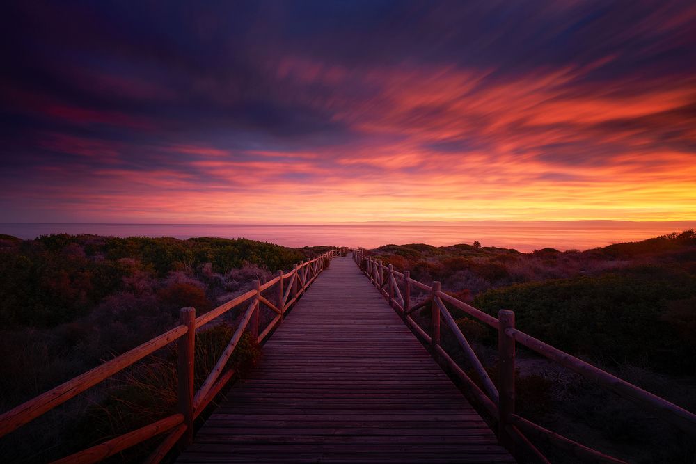 Photograph by Oscar Lata