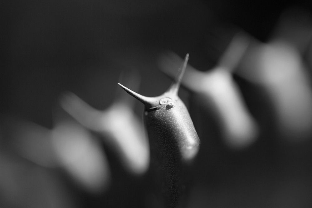 Photograph by Виктория Нарчук