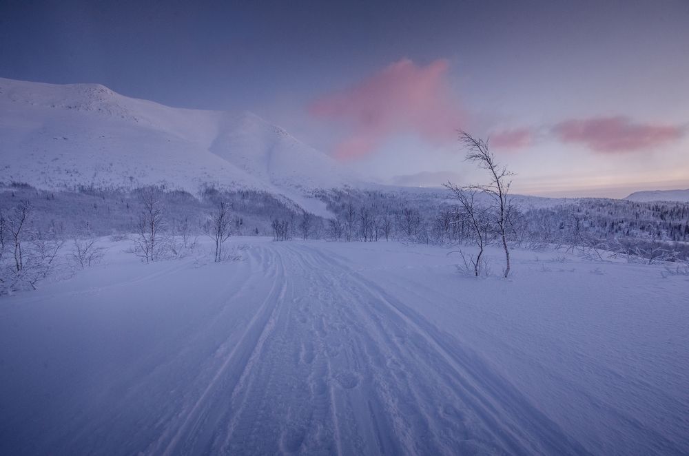 Photograph by Абрамов Денис