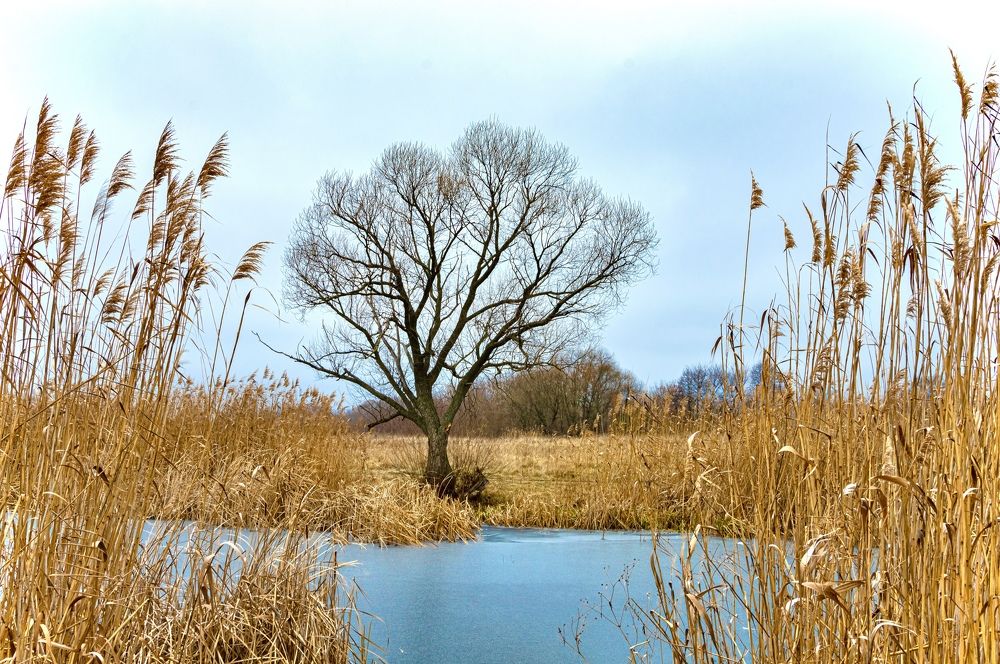 Photograph by Владимир Рябов