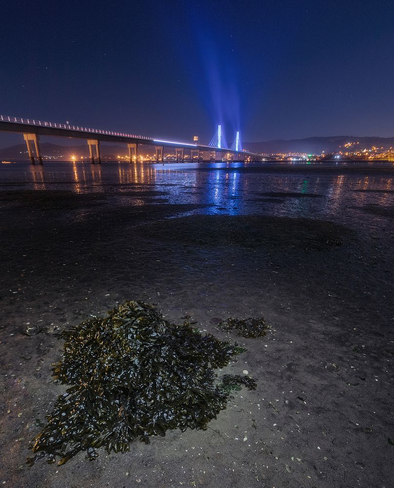 Photograph by Roberto SANMARTIN ALMEIDA