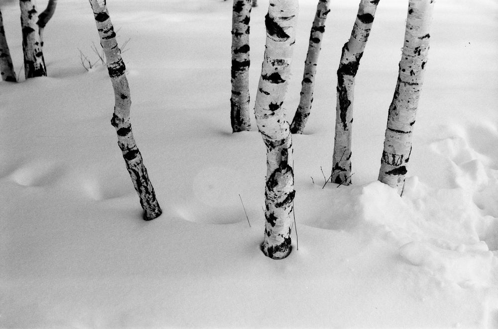 Photograph by Валентин Федоров