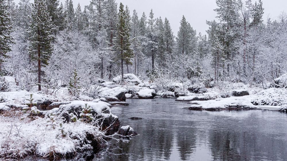 Photograph by Оксана Кузнецова