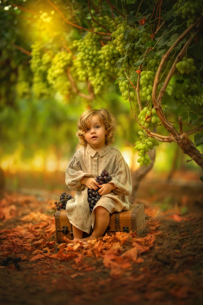 Photograph by yarden kaplan