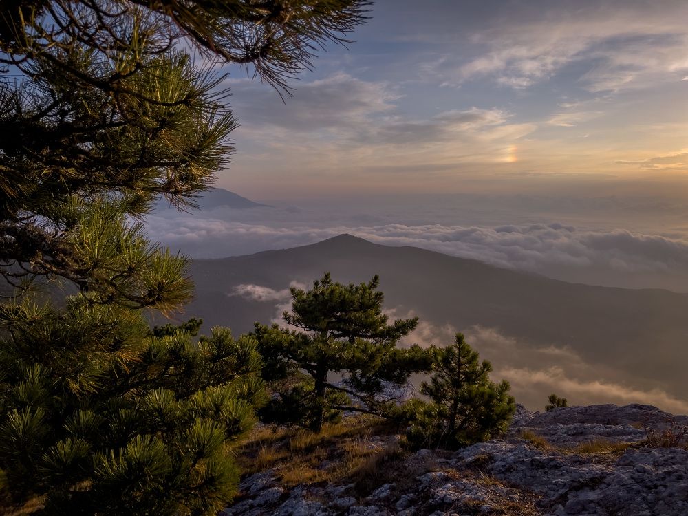 Photograph by Фархад Садыкахунов