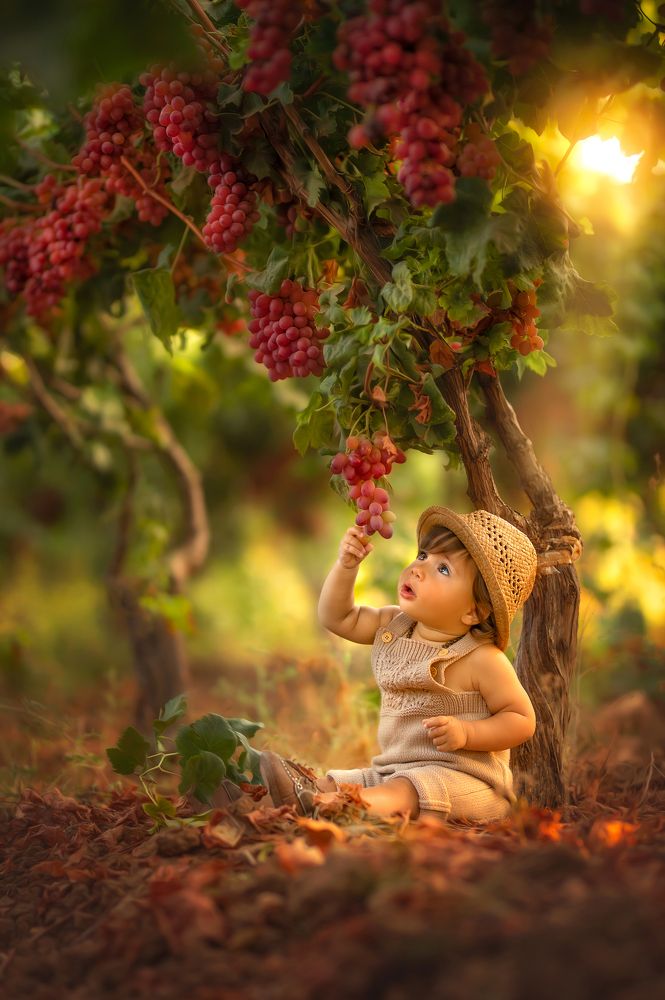 Photograph by yarden kaplan