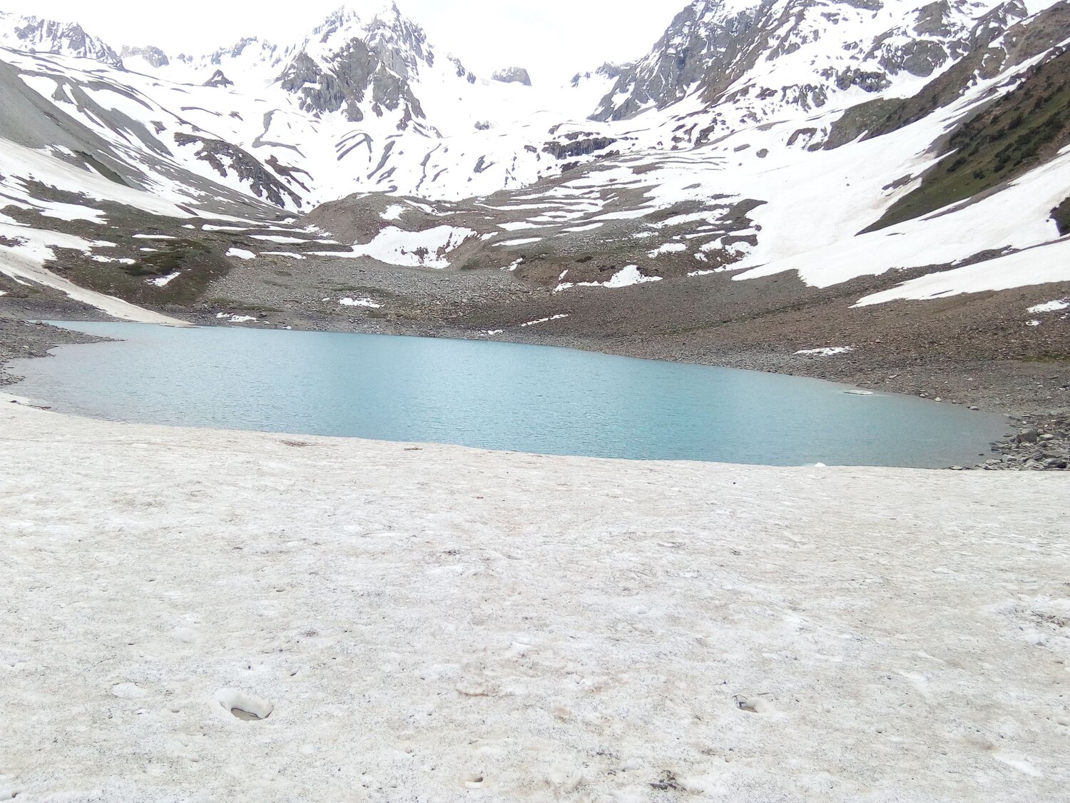 Photo #7196780