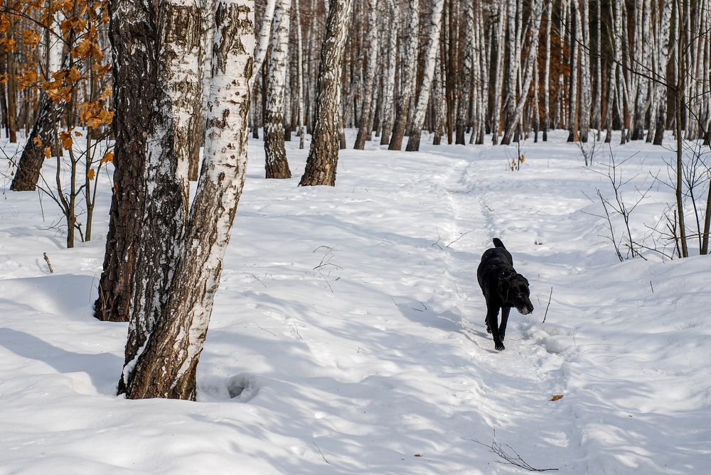 Photograph by Oleksii Smoliakov