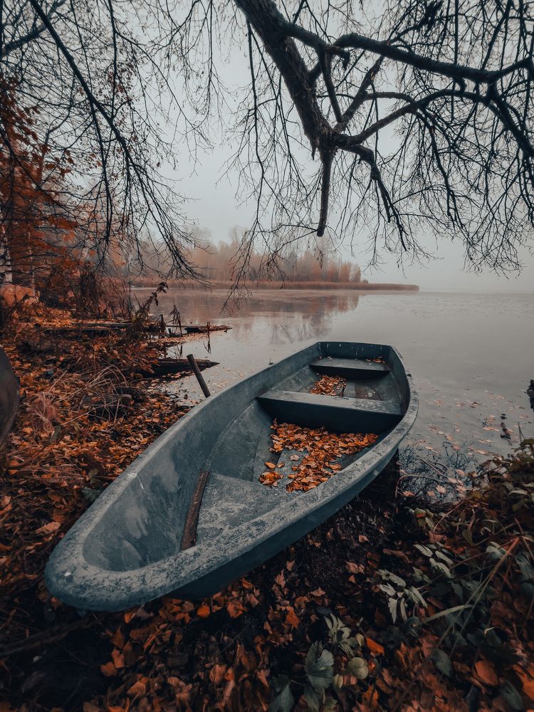 Photograph by Фархад Садыкахунов