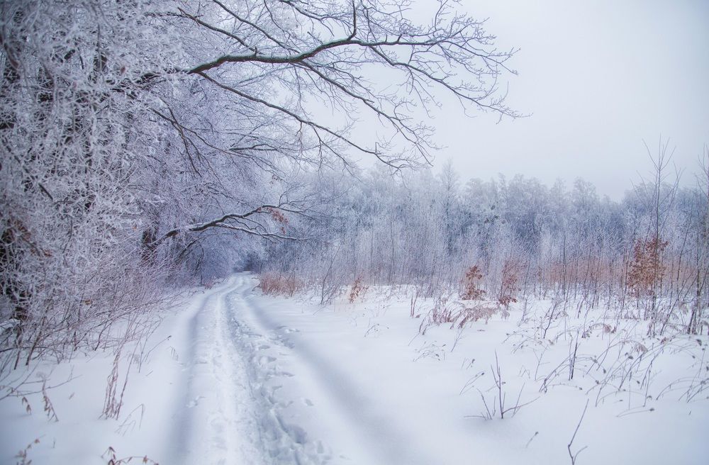 Photograph by Яна Гончарова