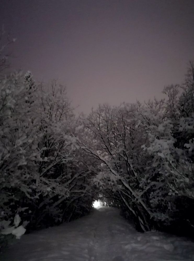 Photograph by Ирина Кортюкова