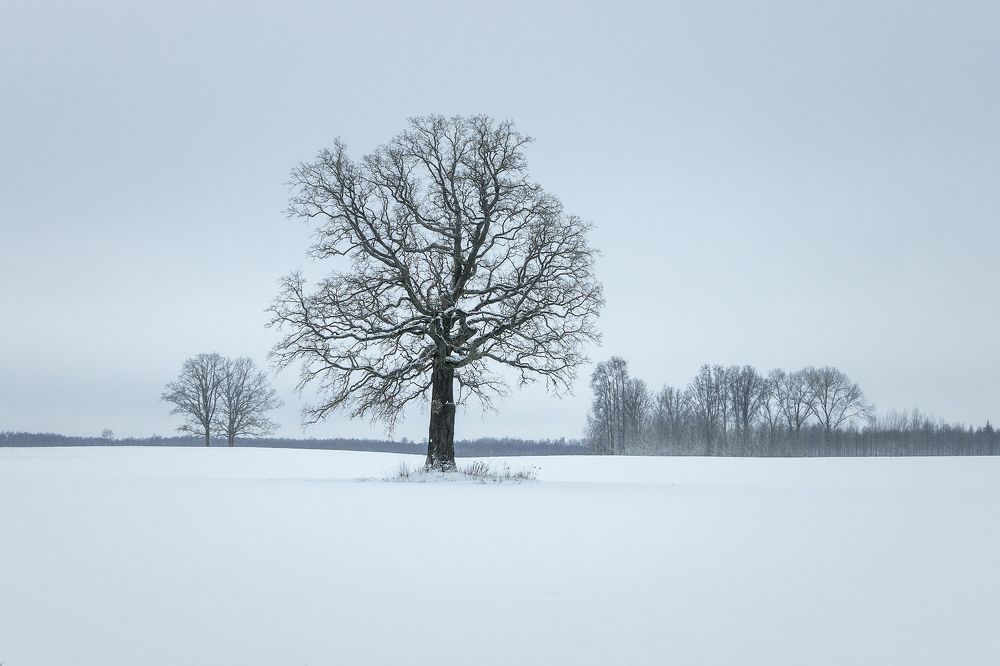 Photograph by Juris Buklovskis