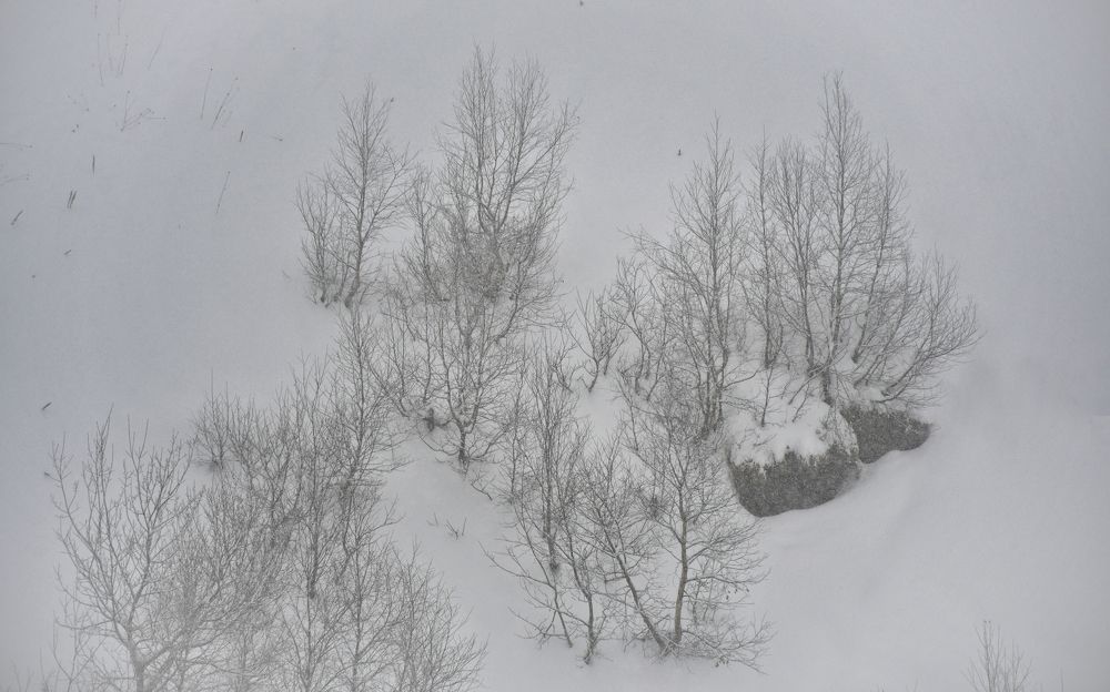 Photograph by Manjri Saxena