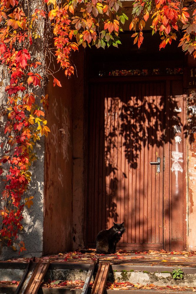 Photograph by Anna Diatchenkova