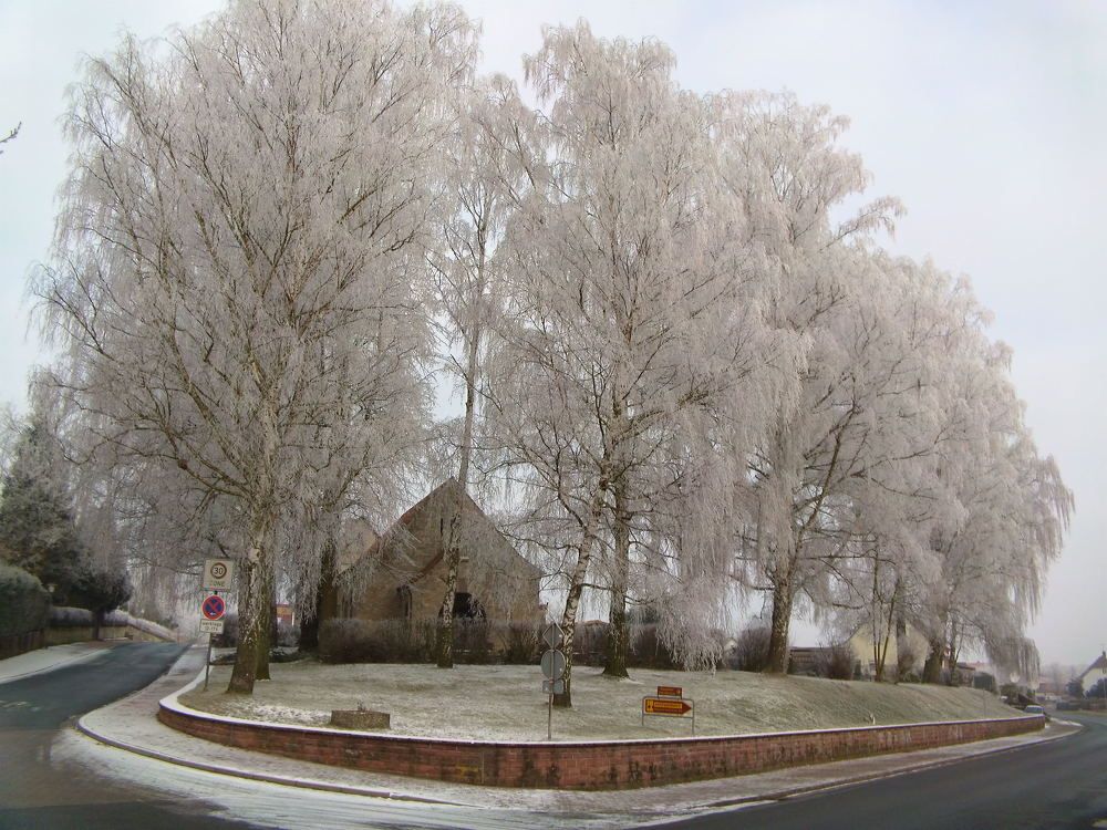 Photograph by Юрий Варзобский