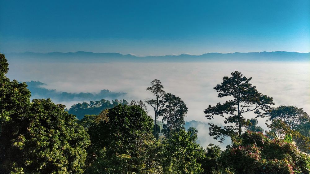 Land of Unknown