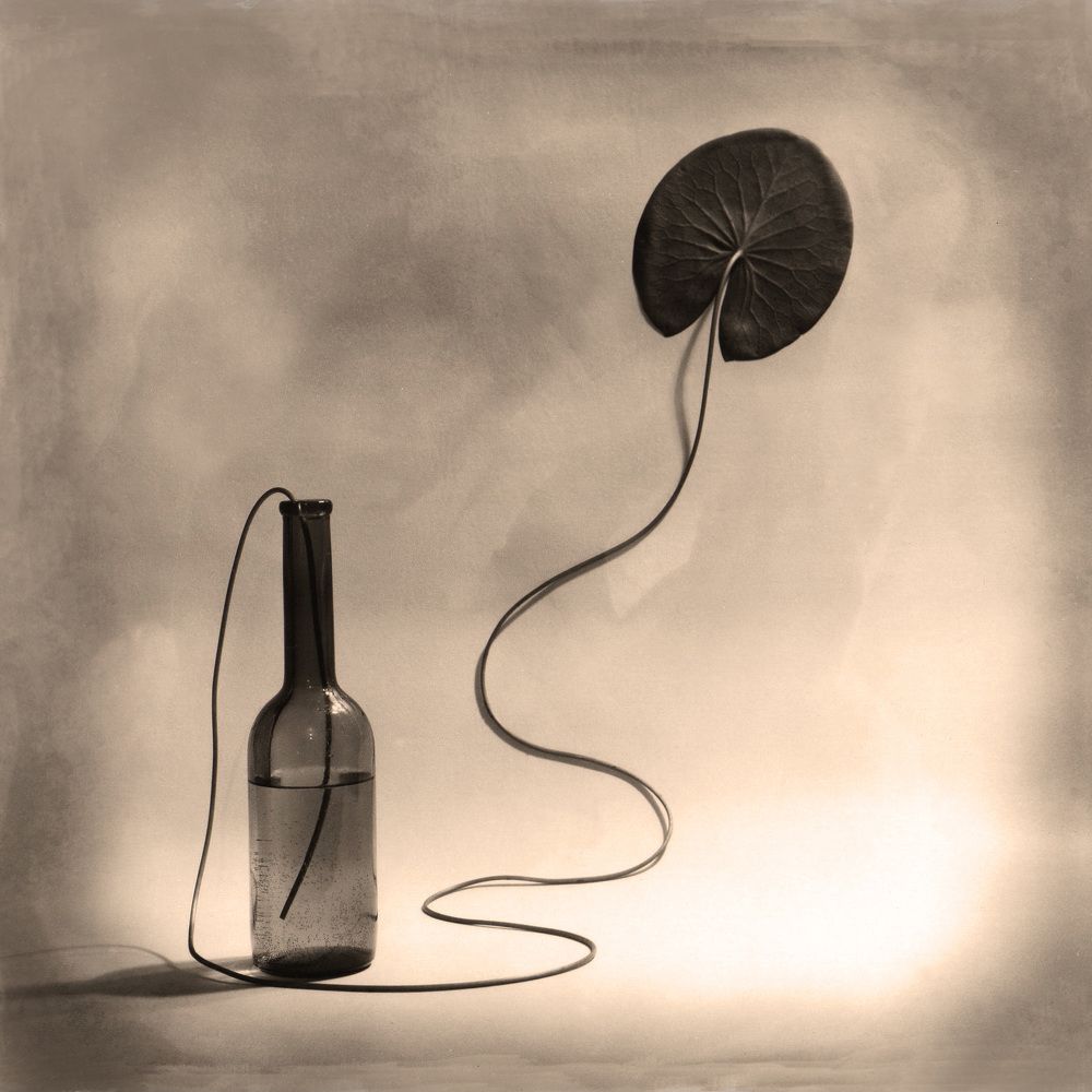 Фотография автора Виктор Кириллов