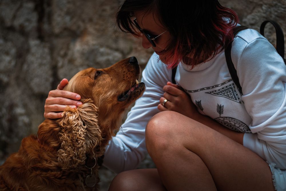 Photograph by Oleksii Smoliakov