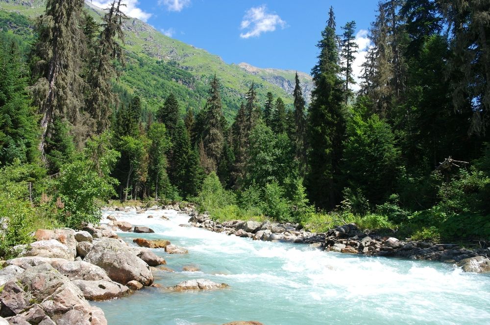 Photograph by Ирина Дронова