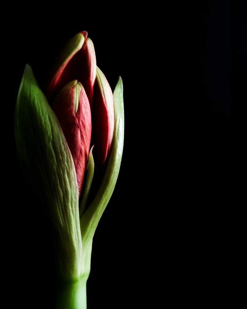 Photograph by Oxana Kostsova