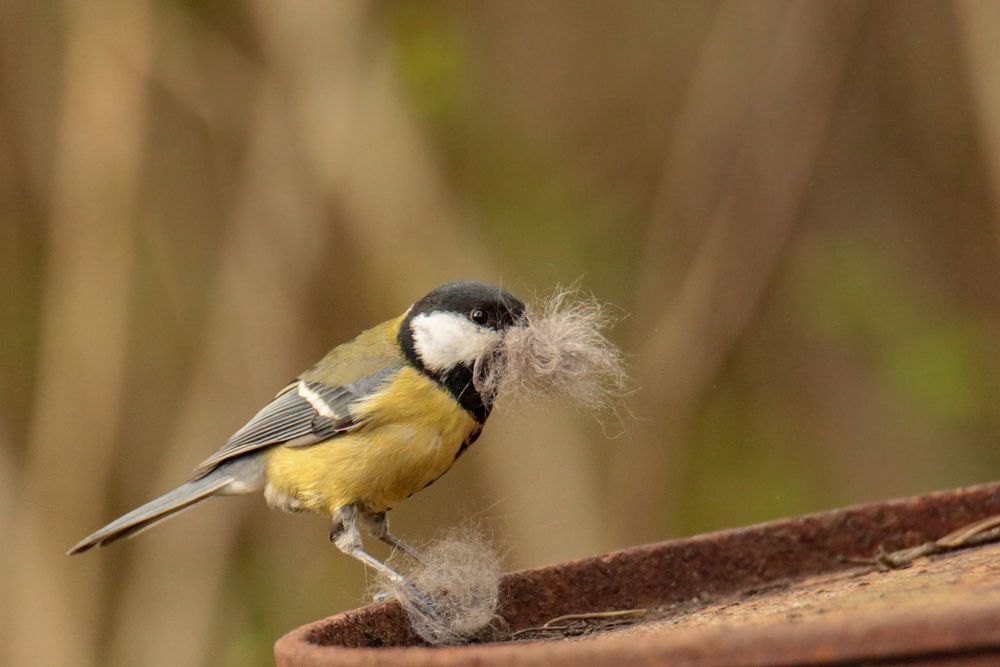 Photograph by Татьяна Александрова