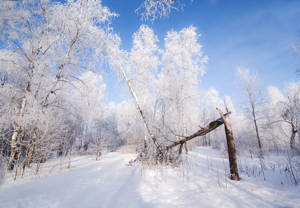 Photograph by Алексей Дивнич
