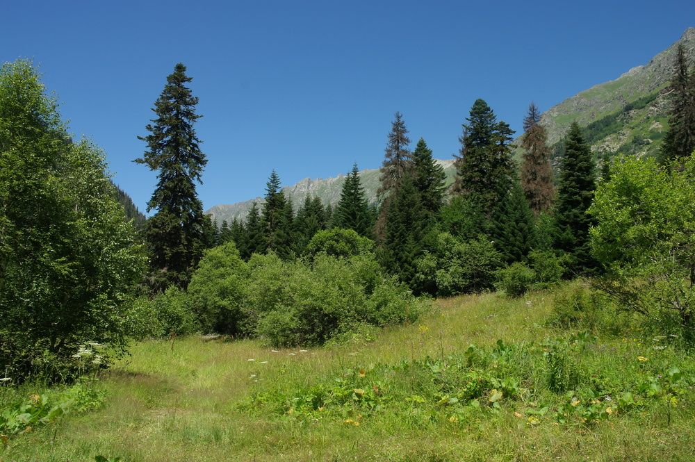 Photograph by Ирина Дронова