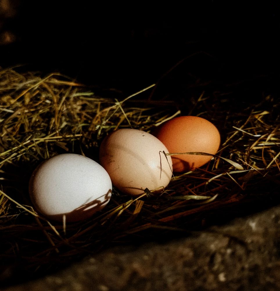 Photograph by Светлана Перминова